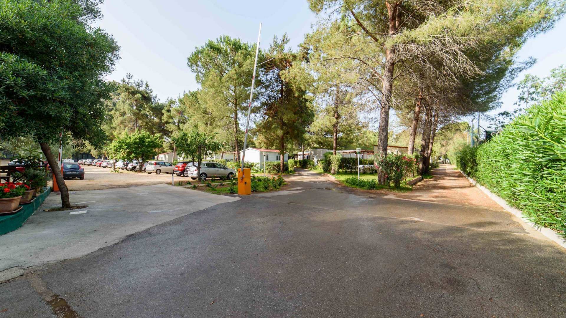 Odissea Camping Village in Marina di Camerota Odissea Camping Village in Marina di Camerota