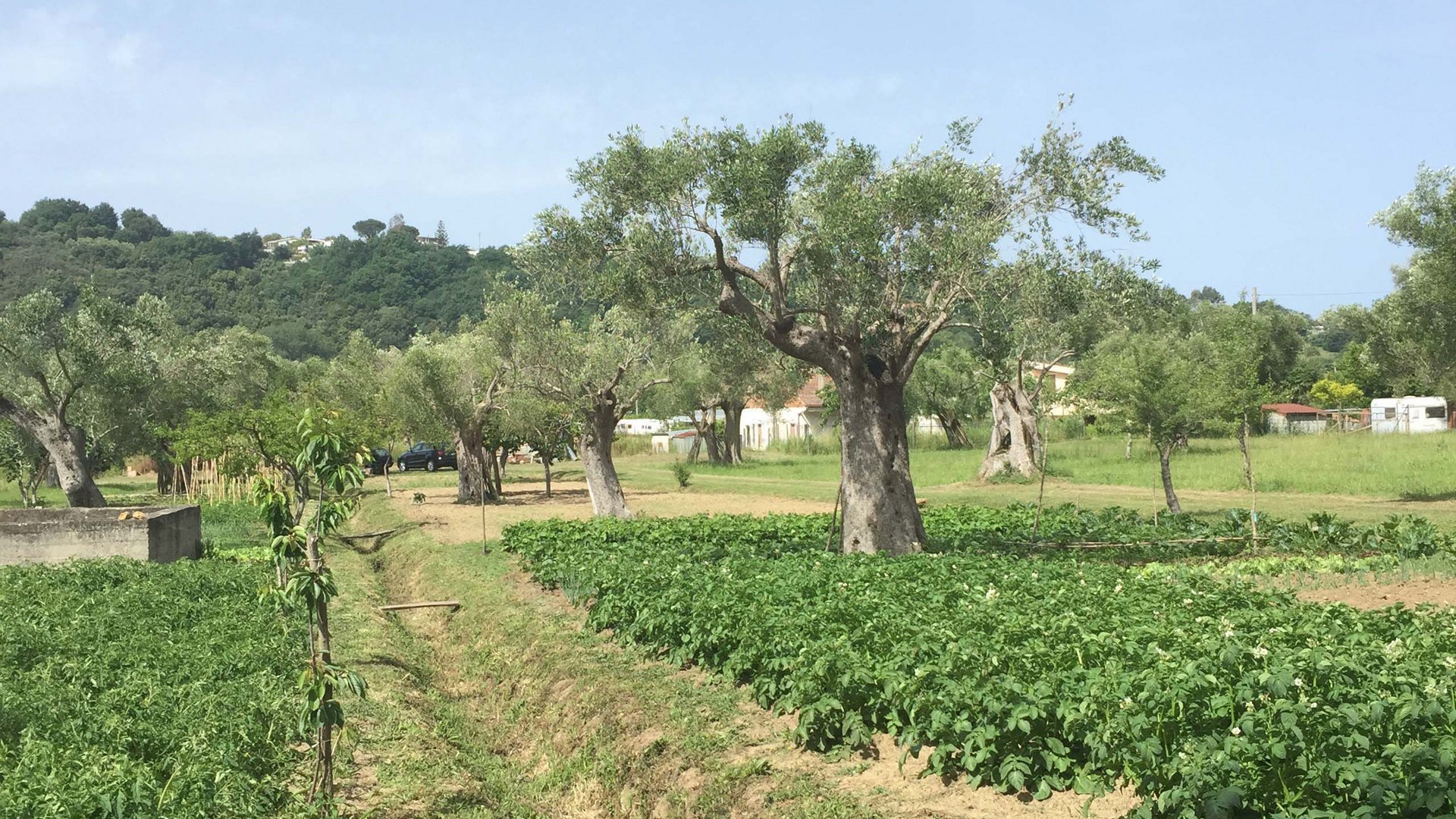 Villaggio Camping Odissea, un villaggio incastonato tra terra e mare Villaggio Camping Odissea, un villaggio incastonato tra terra e mare