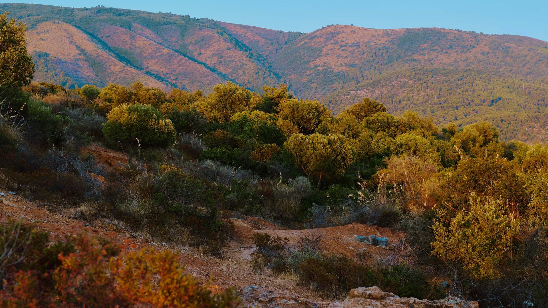 Cilento national park and its treasures Cilento national park and its treasures