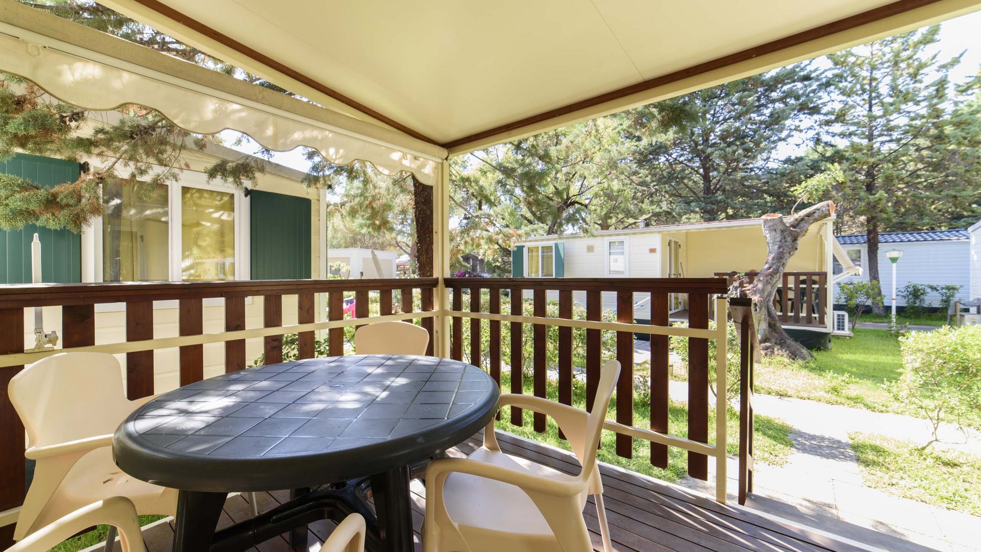 Camping a Marina di Camerota: l’Odissea Camping a Marina di Camerota: l’Odissea